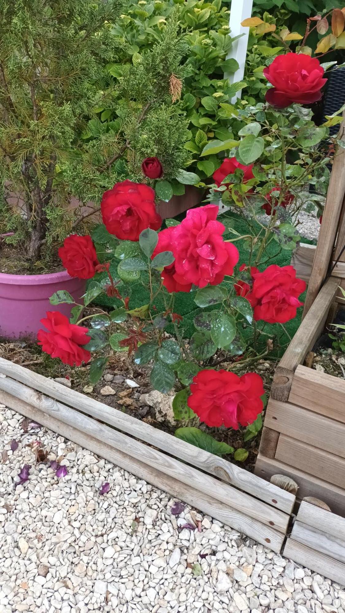 פונס Le Clos Des Passiflores מראה חיצוני תמונה